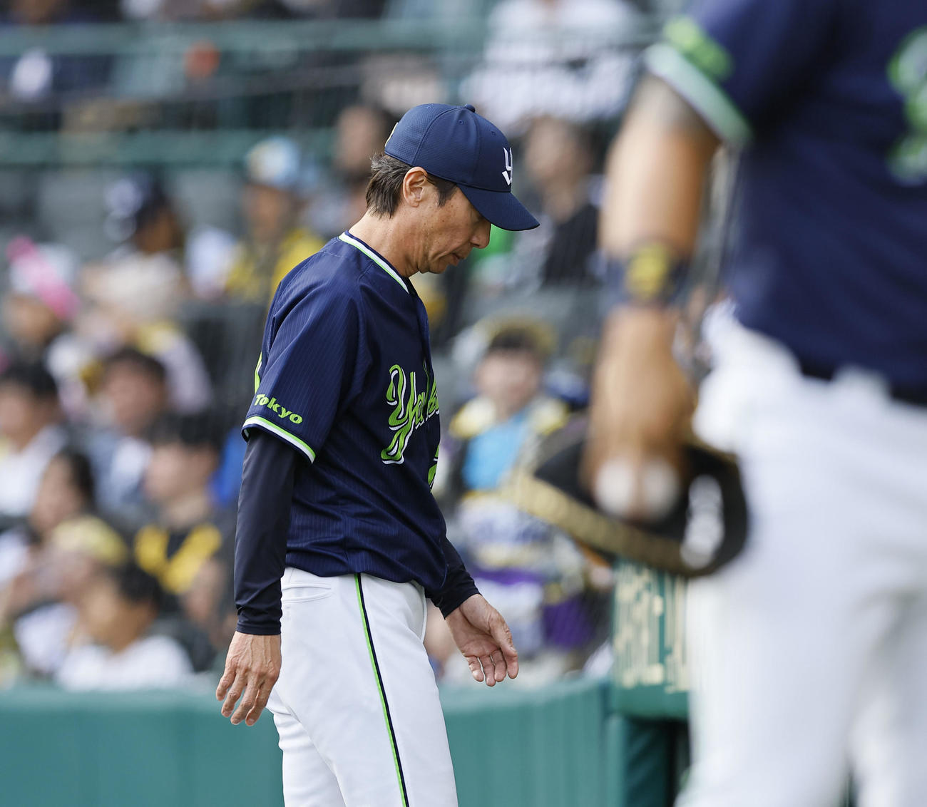 阪神対ヤクルト　8回、交代を告げベンチに戻る高津監督（撮影・藤尾明華）