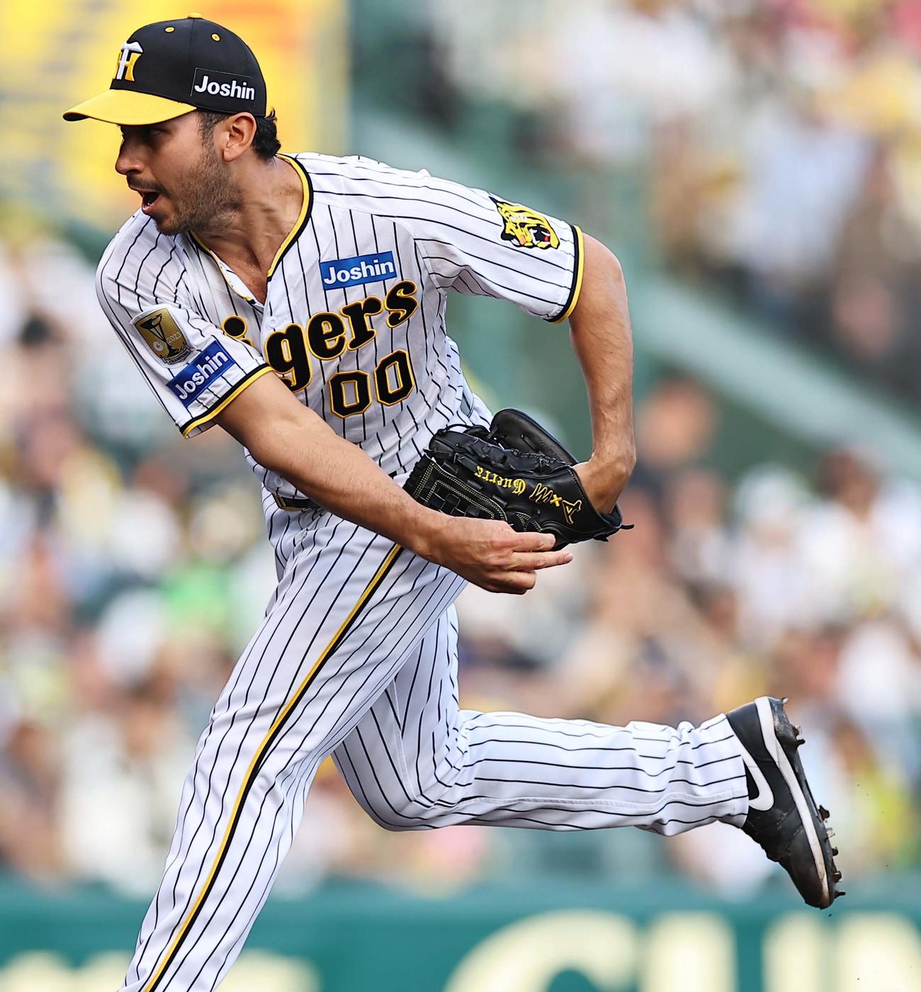 阪神対ヤクルト　阪神3番手のゲラ（撮影・上田博志）