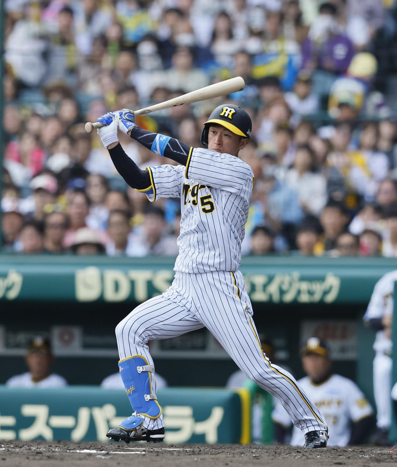 阪神対ヤクルト　5回裏阪神無死、近本は左越えに三塁打を放つ（撮影・藤尾明華）