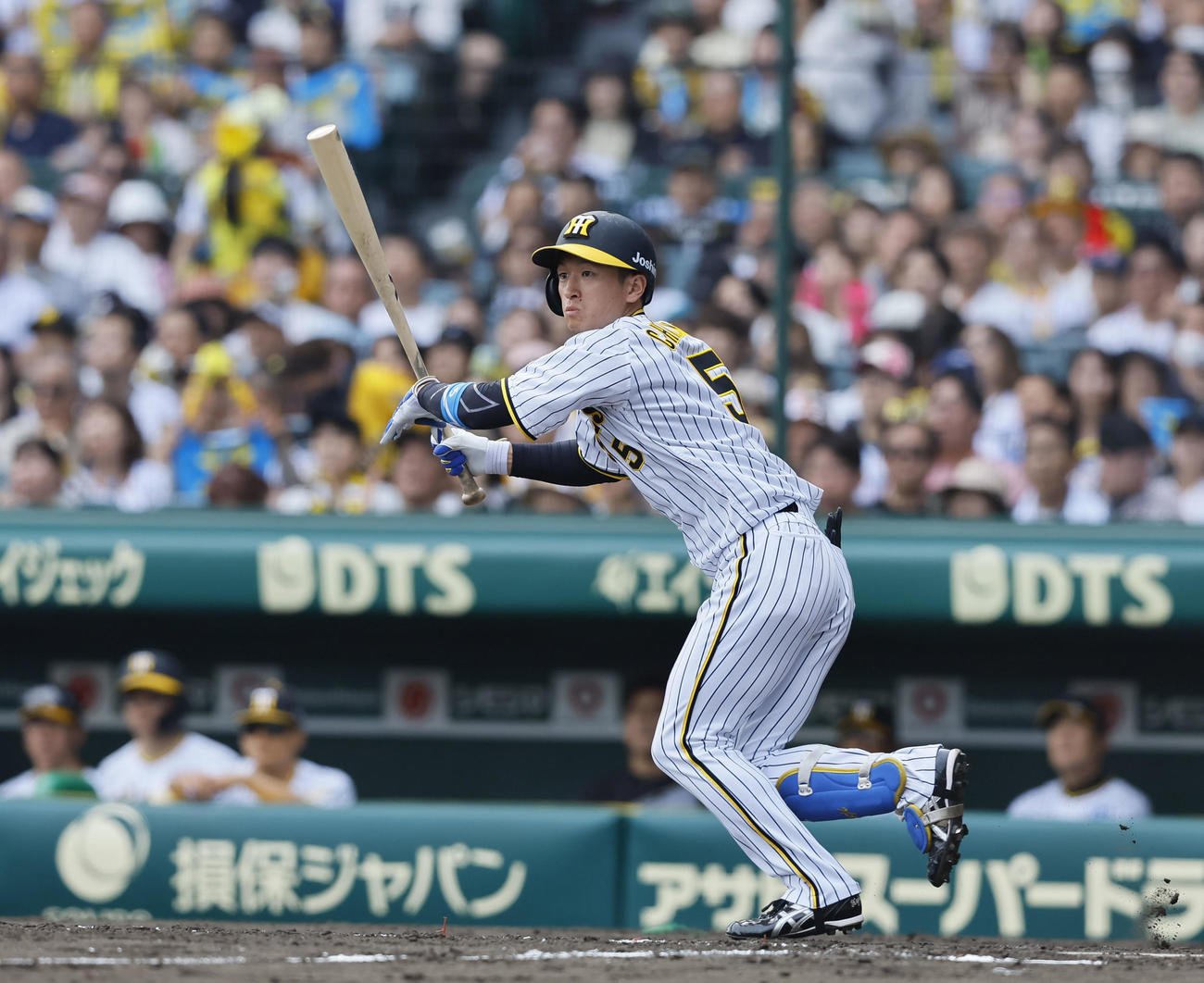 阪神対ヤクルト　5回裏阪神無死、近本は左越えに三塁打を放つ（撮影・藤尾明華）