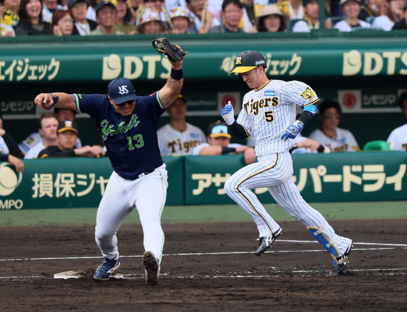 阪神対ヤクルト　7回裏阪神無死一塁、近本は遊ゴロ併殺に倒れる。一塁手はオスナ（撮影・加藤哉）