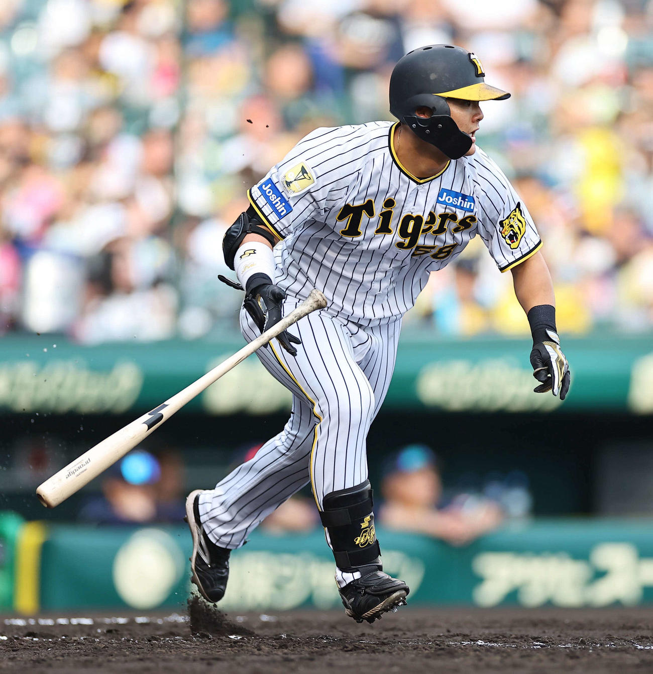 阪神対ヤクルト　7回裏阪神無死、前川は中前打を放つ（撮影・上田博志）
