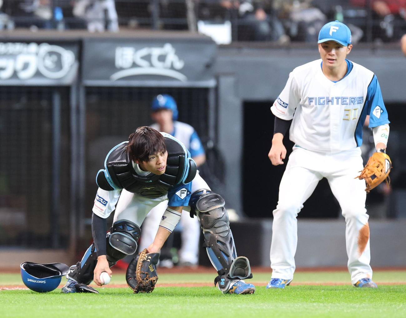日本ハム対オリックス　5回表オリックス無死一塁、渡部の打球を捕球しながら走者を見る田宮（撮影・佐藤翔太）