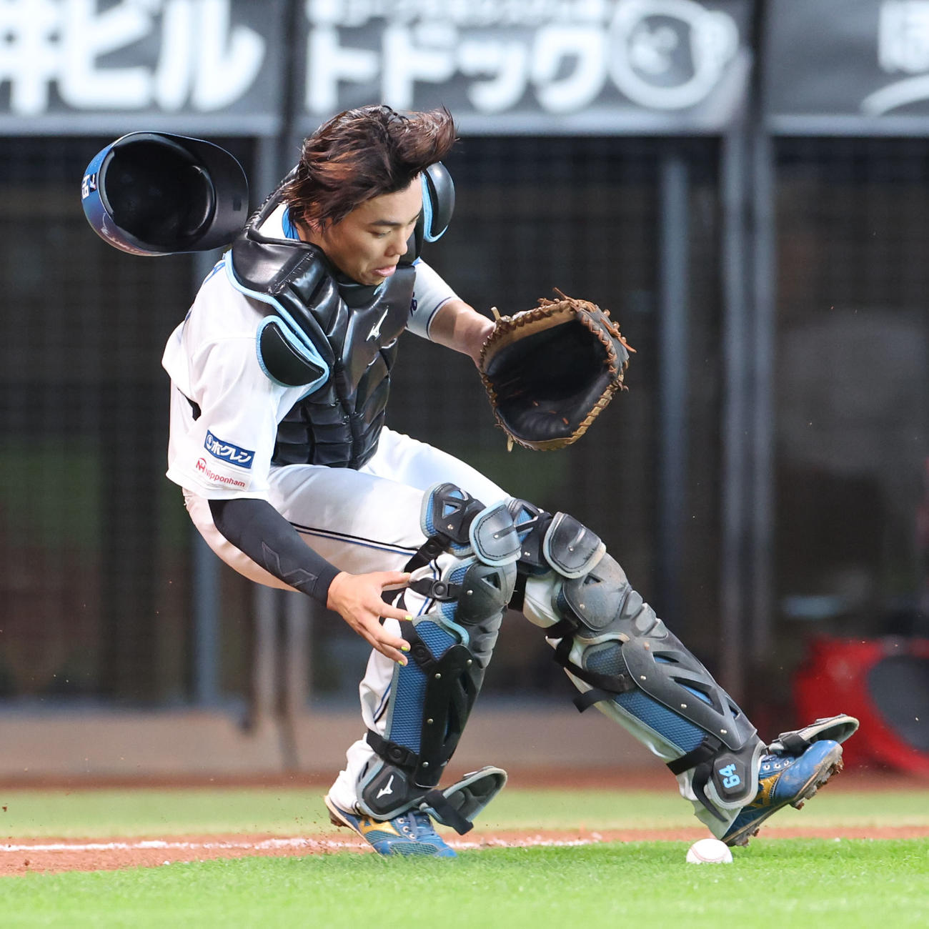 日本ハム対オリックス　5回表オリックス無死一塁、渡部の打球を捕球せずわざと落とす田宮（撮影・佐藤翔太）