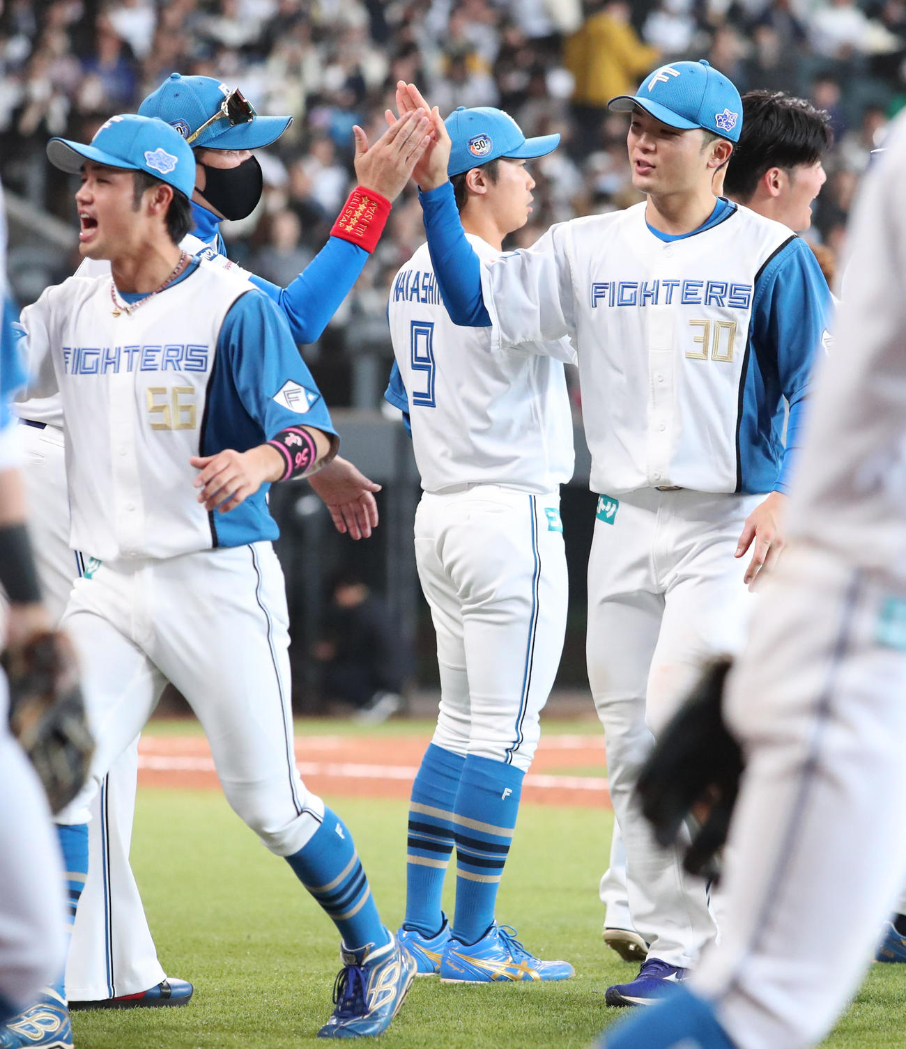 日本ハム対オリックス　オリックスに勝利しハイタッチをする日本ハム新庄監督（左後方）と郡司（撮影・佐藤翔太）