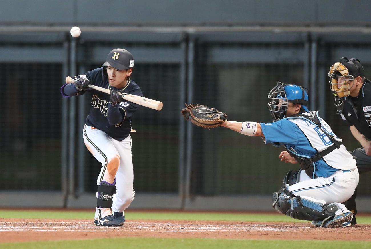 日本ハム対オリックス　5回表オリックス無死一塁、渡部のバントした打球が小フライになる（撮影・黒川智章）