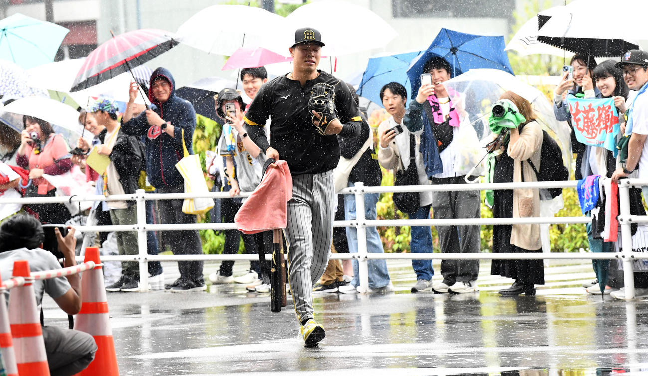 傘を差さずにダッシュで室内練習場に向かう佐藤輝（撮影・前岡正明）