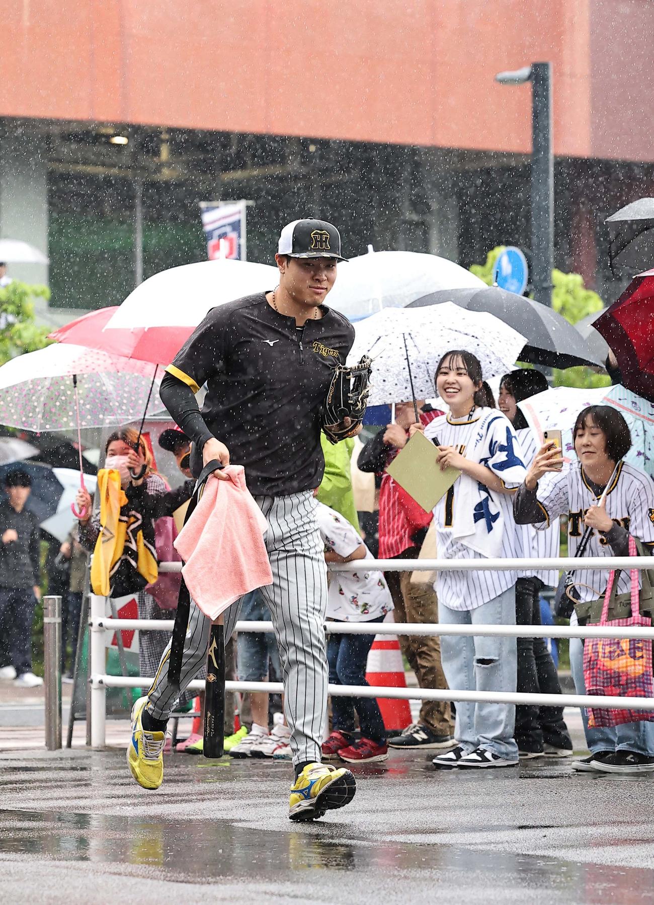 傘を差さずにダッシュで室内練習へ向かう佐藤輝（撮影・上田博志）