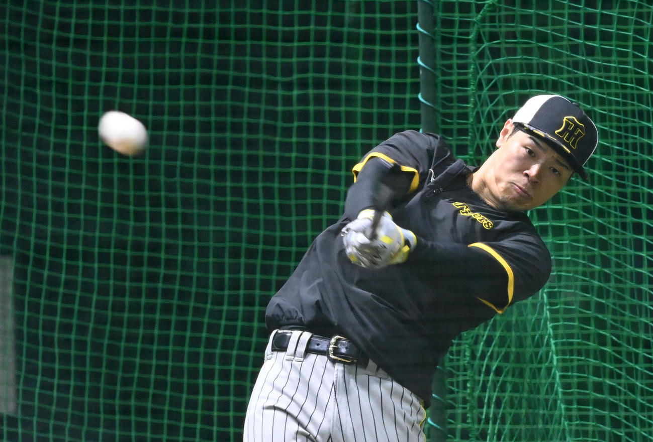 打撃練習を行う阪神佐藤輝明（24年4月29日撮影）