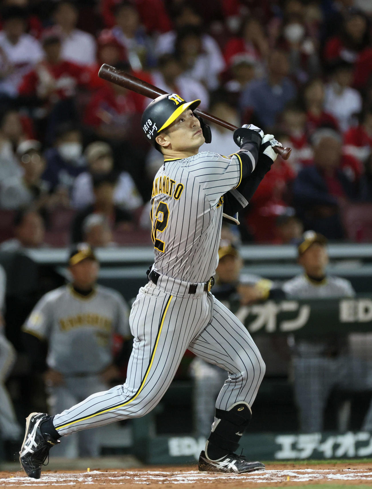 広島対阪神　6回表阪神1死一、三塁、坂本は右犠飛を放つ（撮影・加藤孝規）