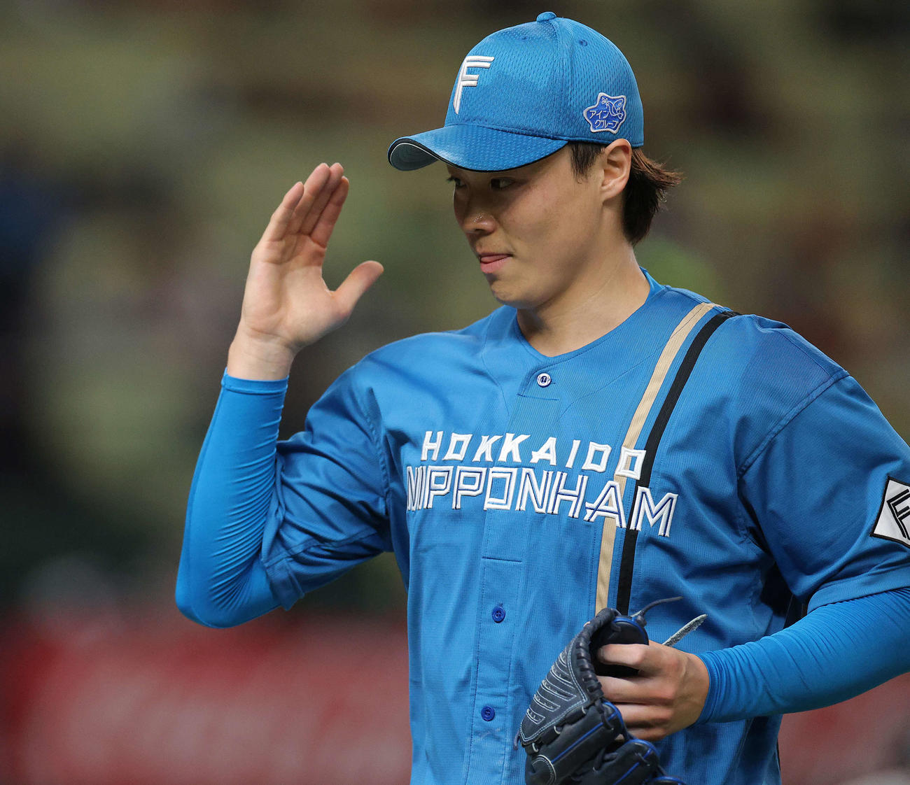 西武対日本ハム　5回裏を抑える山崎（撮影・河田真司）