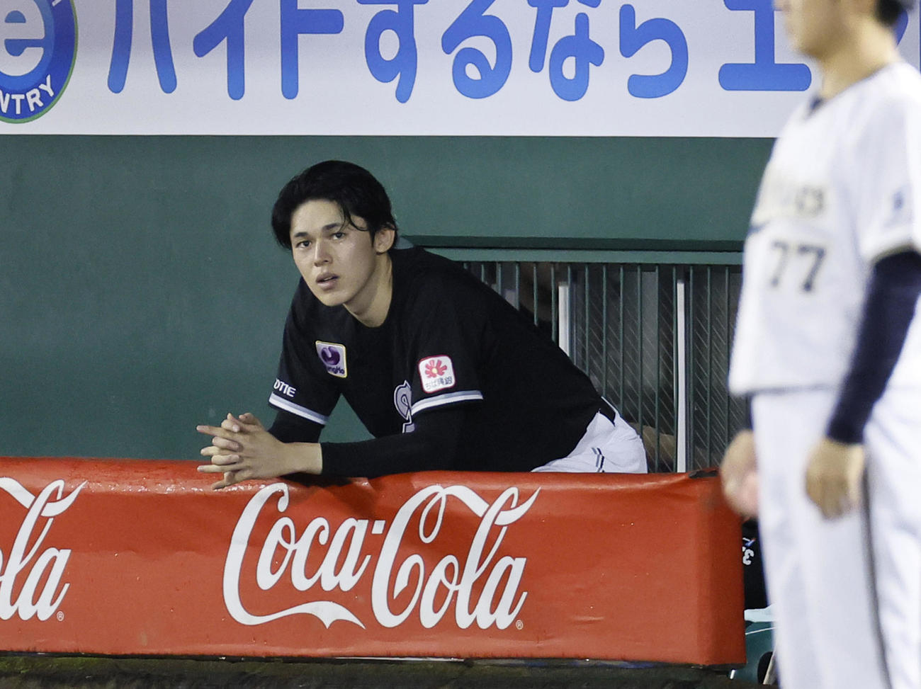 オリックス対ロッテ　8回、ベンチから試合を見つめるロッテ佐々木（撮影・藤尾明華）
