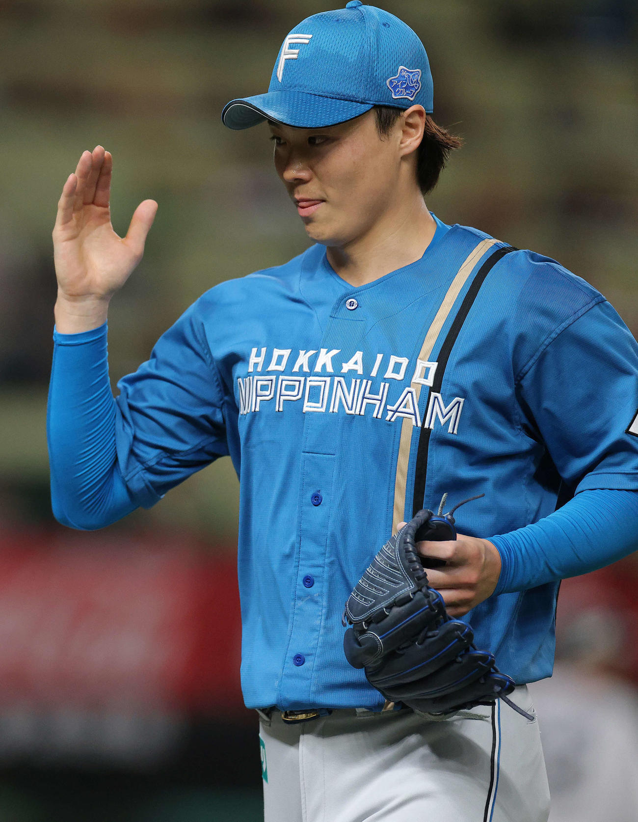 西武対日本ハム　5回裏を抑える山崎（撮影・河田真司）