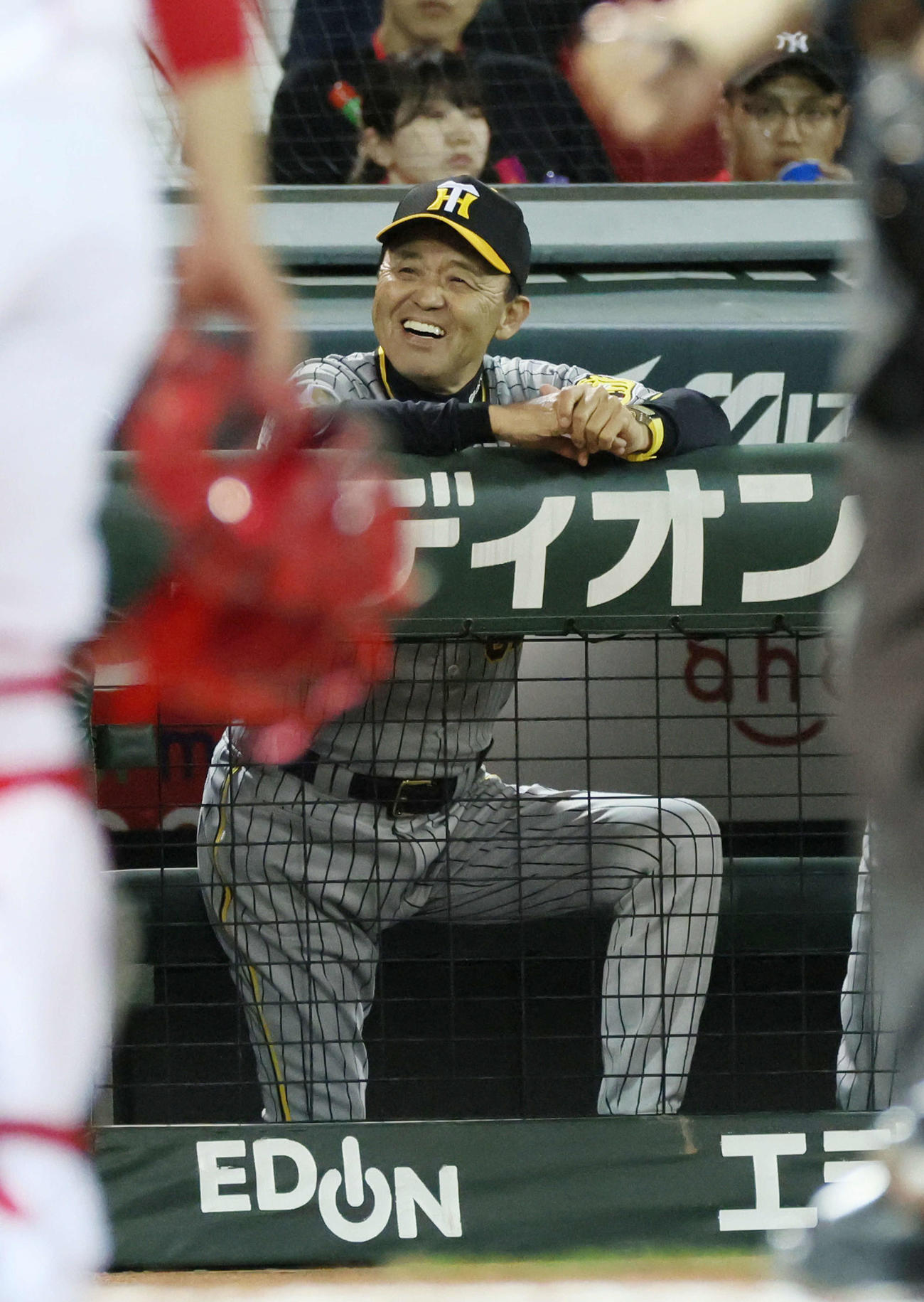 広島対阪神　6回表阪神1死一、三塁、坂本誠志郎の右犠飛を喜ぶ岡田監督（撮影・加藤孝規）