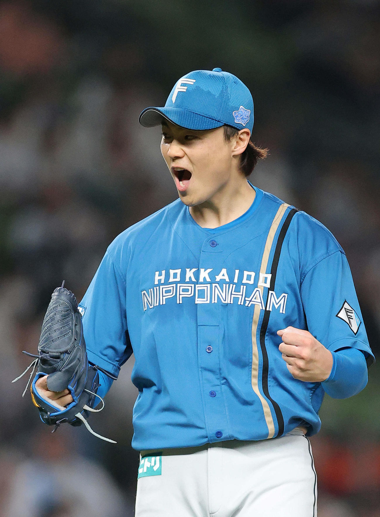 西武対日本ハム　最終打者の金子を遊ゴロに仕留め、西武に完投勝利しガッツポーズする日本ハム山崎（撮影・河田真司）