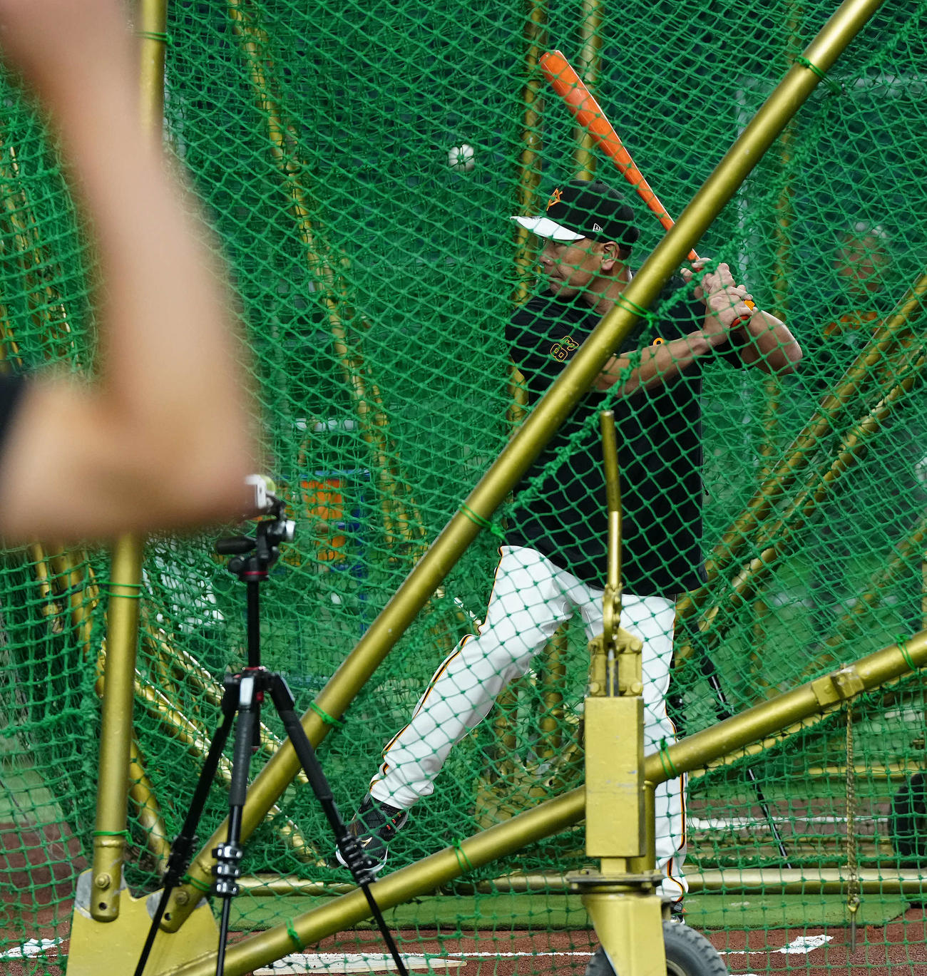 巨人対ヤクルト　フリー打撃を行う巨人阿部監督（撮影・たえ見朱実）