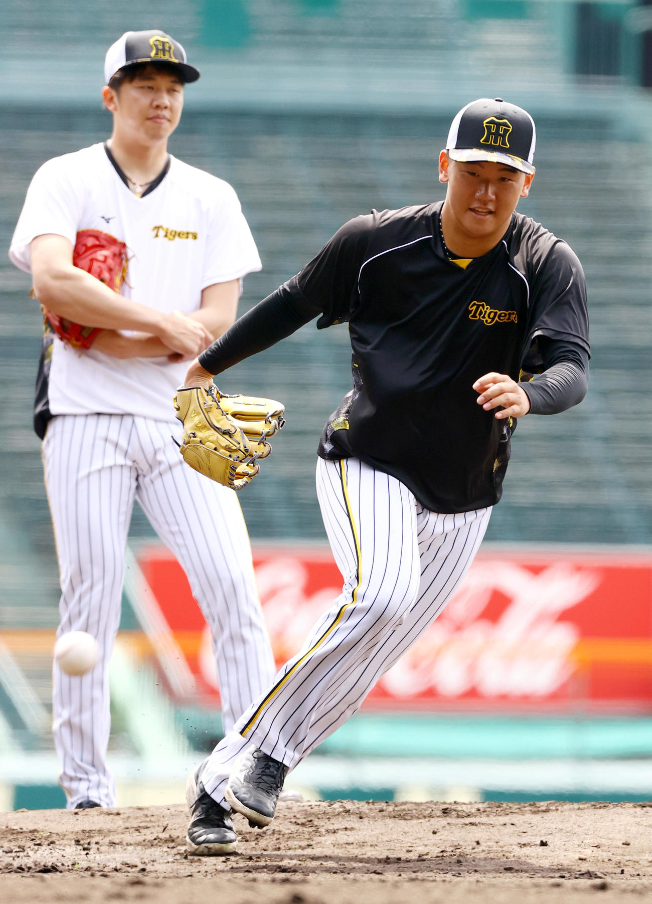 投内連係プレーで汗を流す阪神門別。奥は才木（撮影・上山淳一）