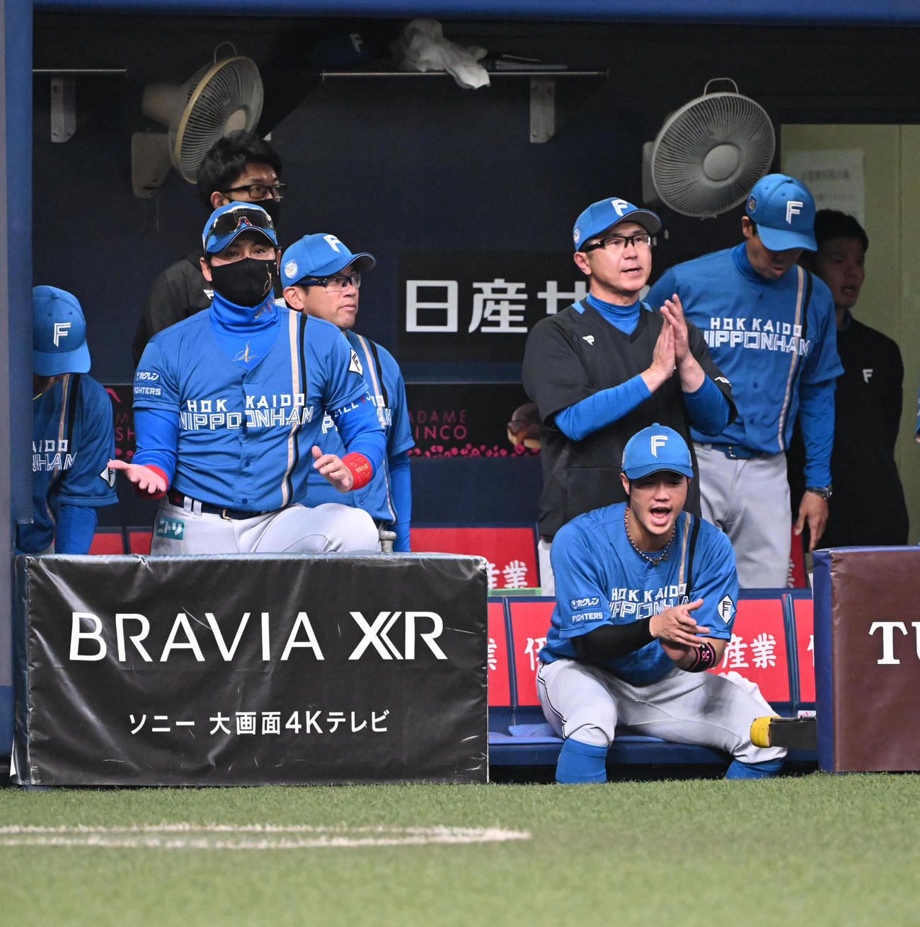 オリックス対日本ハム　オリックスに勝利しスタッフとタッチを交わす日本ハム新庄監督（撮影・和賀正仁）