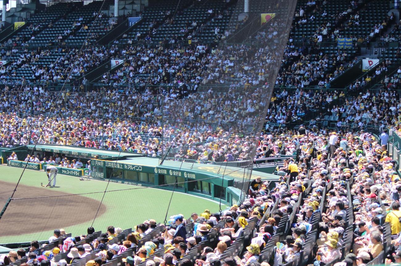 2軍戦にもかかわらず多くの観衆を集めた甲子園（撮影・柏原誠）