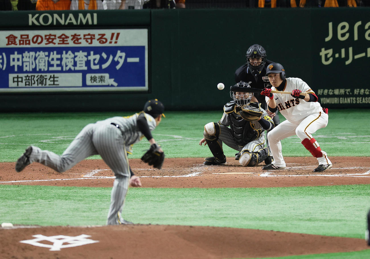 巨人対阪神　8回裏巨人無死一塁、増田大は送りバントを決める。投手岩崎（撮影・足立雅史）