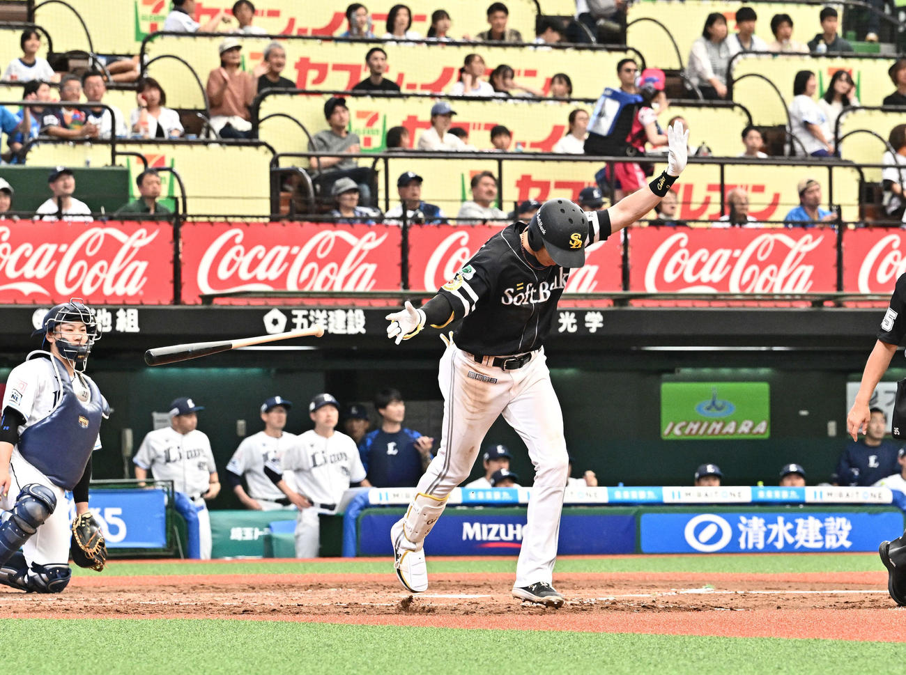 西武対ソフトバンク　4回表ソフトバンク無死、柳田は右越えソロ本塁打を放ちバットを投げる（撮影・滝沢徹郎）