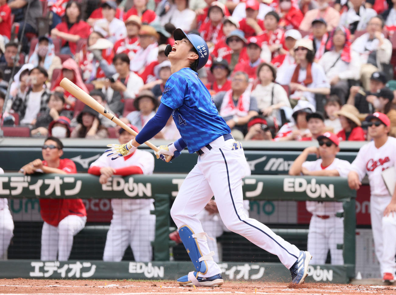 広島対DeNA 2回表DeNA2死、度会は二飛（撮影・加藤孝規）
