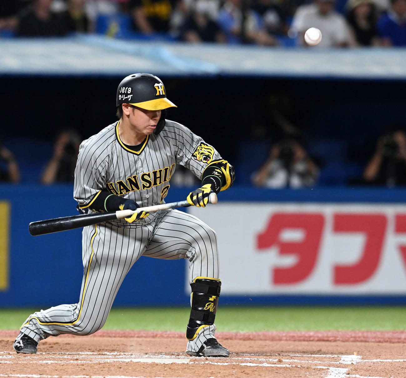 阪神梅野隆太郎（2023年7月23日撮影）