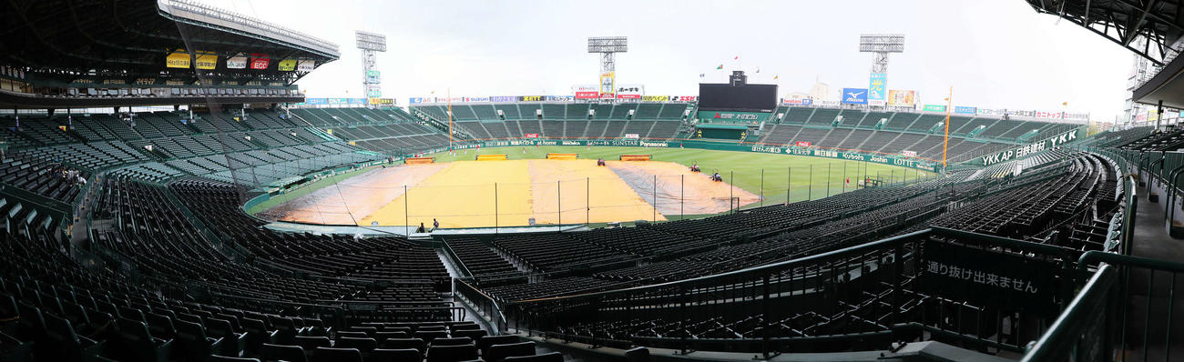 阪神対広島　GW最終日、甲子園のグラウンドにはシートが敷き詰められていたが、夜間の降雨が予想され開門を前に中止が発表された（撮影・宮崎幸一）