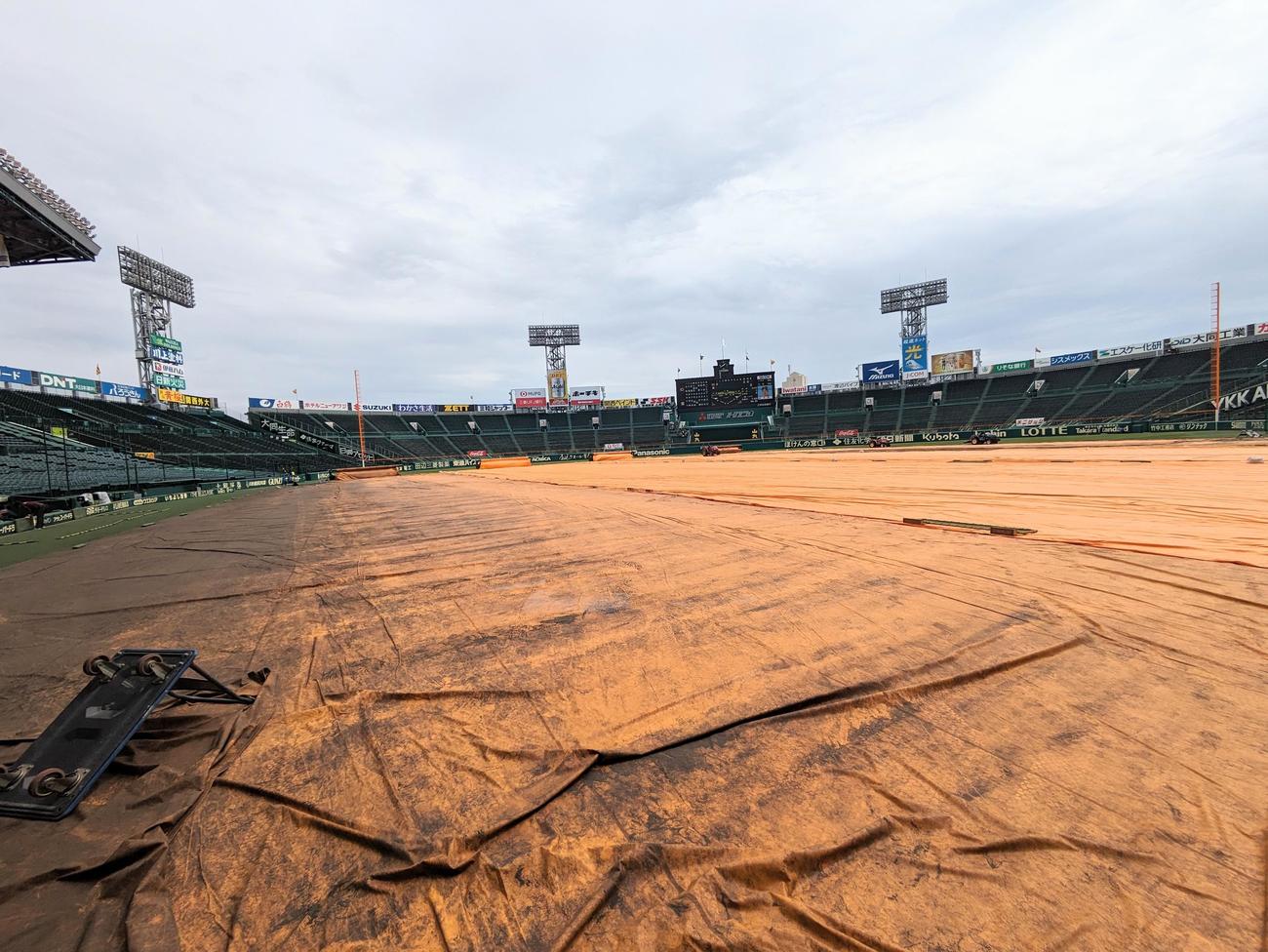 雨天予報のためシートが掛けられた甲子園球場のグラウンド（撮影・上田博志）