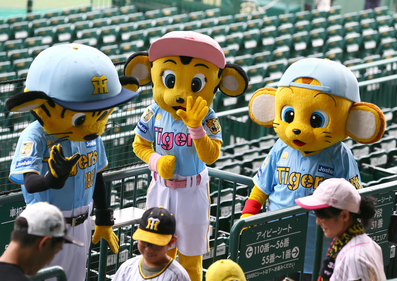 ファミリーデーのユニホームを着て子供たちと交流する、左からトラッキー、ラッキー、キー太（撮影・上山淳一）