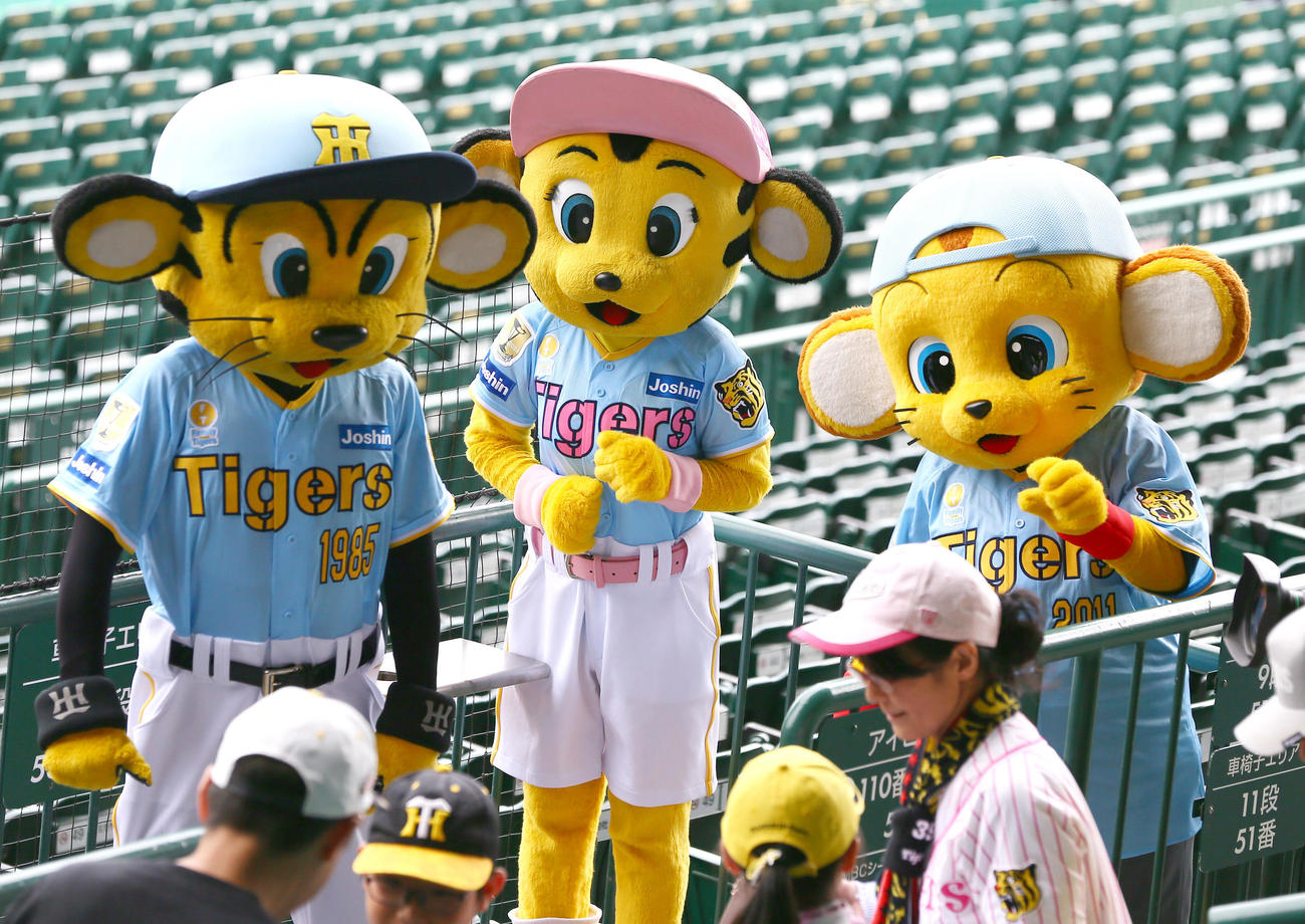 ファミリーデーのユニホームを着て子供たちと交流する、左からトラッキー、ラッキー、キー太（撮影・上山淳一）