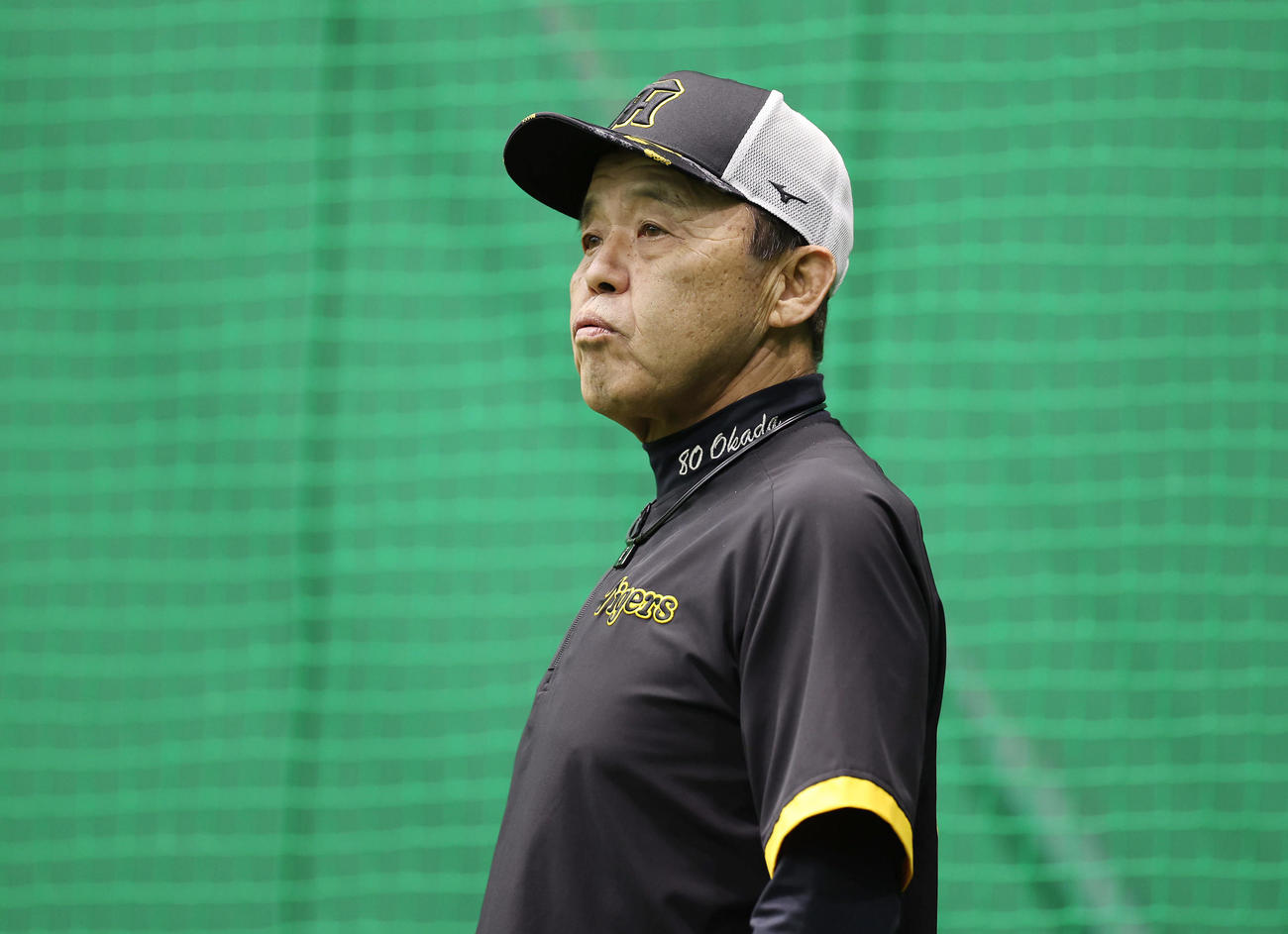 阪神対広島　練習を見守る阪神岡田監督（撮影・前田充）