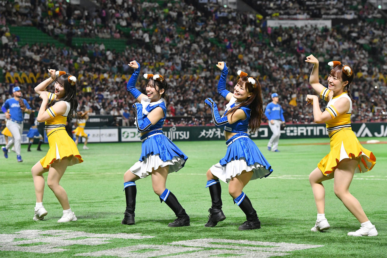 ソフトバンク対日本ハム　2回裏開始前、きつねダンスでハニーズとコラボするファイターズガール（撮影・岩下翔太）