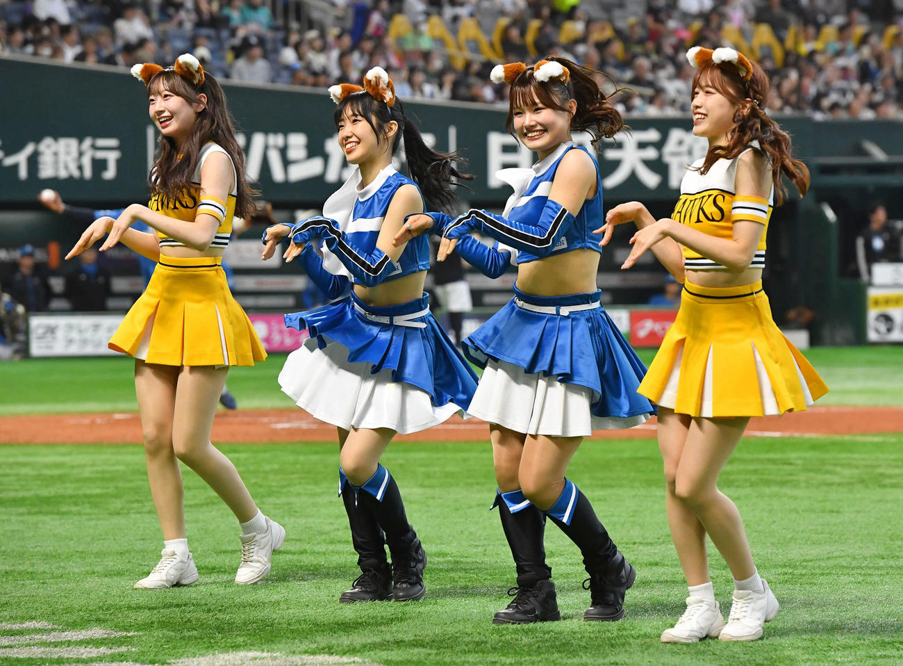 ソフトバンク対日本ハム　2回裏開始前、きつねダンスでハニーズとコラボするファイターズガール（撮影・岩下翔太）