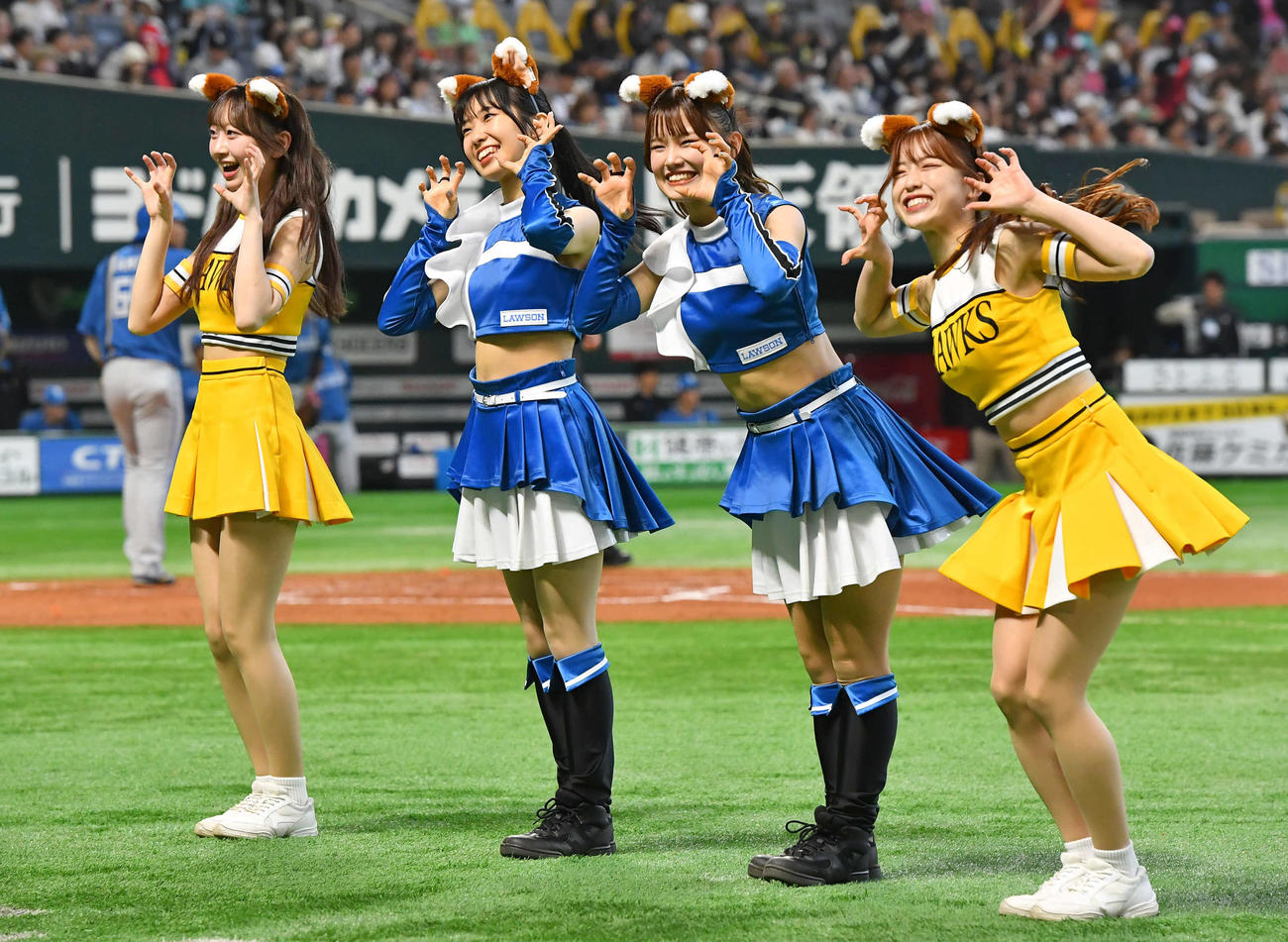 ソフトバンク対日本ハム　2回裏開始前、きつねダンスでハニーズとコラボするファイターズガール（撮影・岩下翔太）