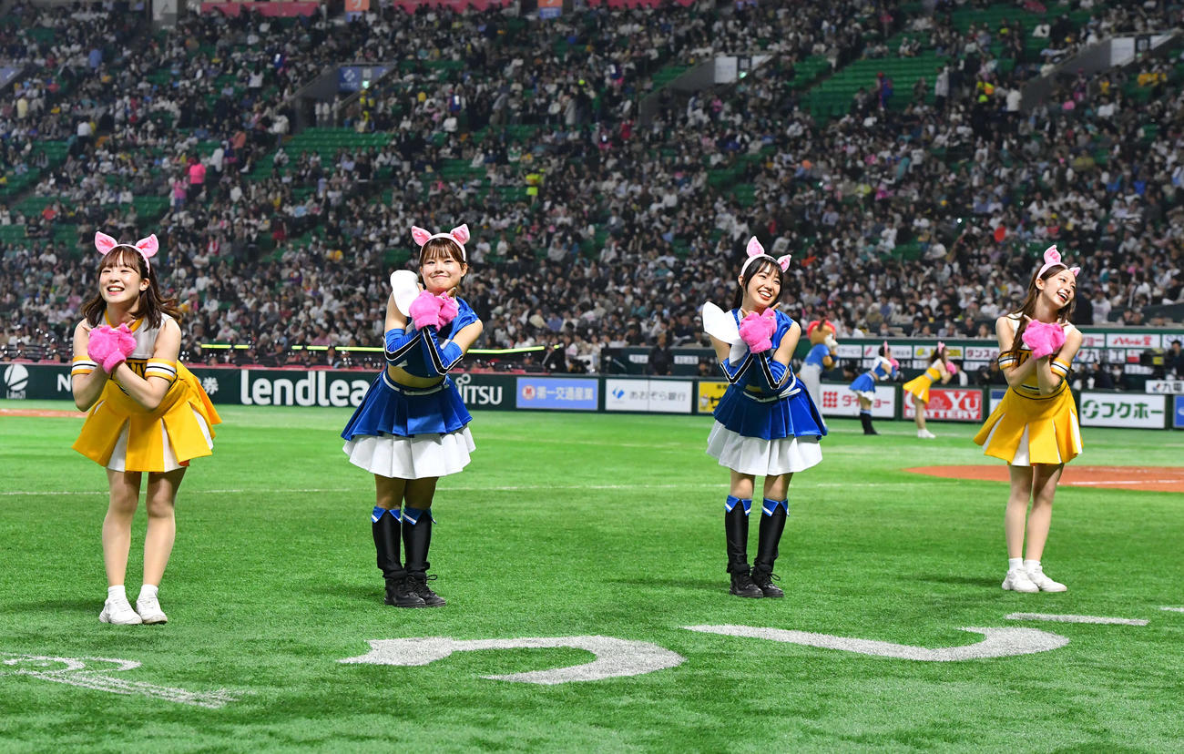 ソフトバンク対日本ハム　4回裏開始前、よかよかダンスでファイターズガールとコラボするハニーズ（撮影・岩下翔太）