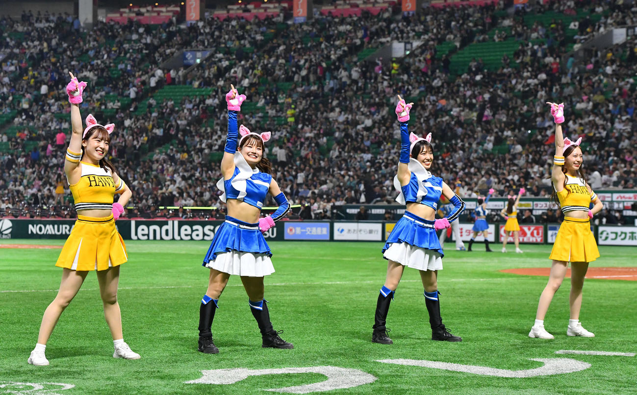 ソフトバンク対日本ハム　4回裏開始前、よかよかダンスでファイターズガールとコラボするハニーズ（撮影・岩下翔太）