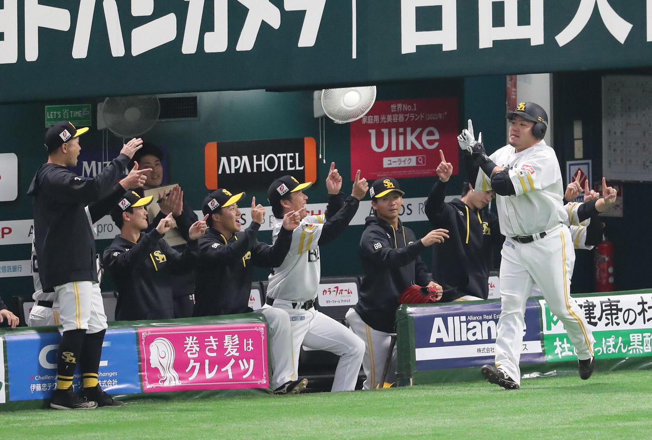ソフトバンク対日本ハム　4回裏ソフトバンク無死、山川は右越えに同点となる本塁打を放ちベンチのナインとハイタッチ（撮影・梅根麻紀）