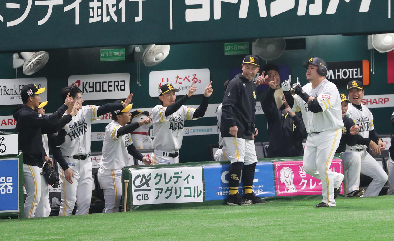 ソフトバンク対日本ハム　4回裏ソフトバンク無死、山川は右越えに同点となる本塁打を放ちベンチのナインとハイタッチ（撮影・梅根麻紀）