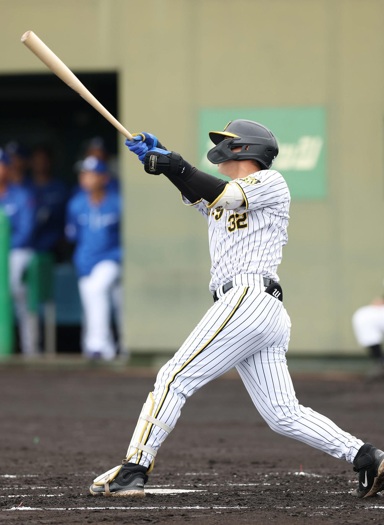 阪神井上広大（2024年4月撮影）