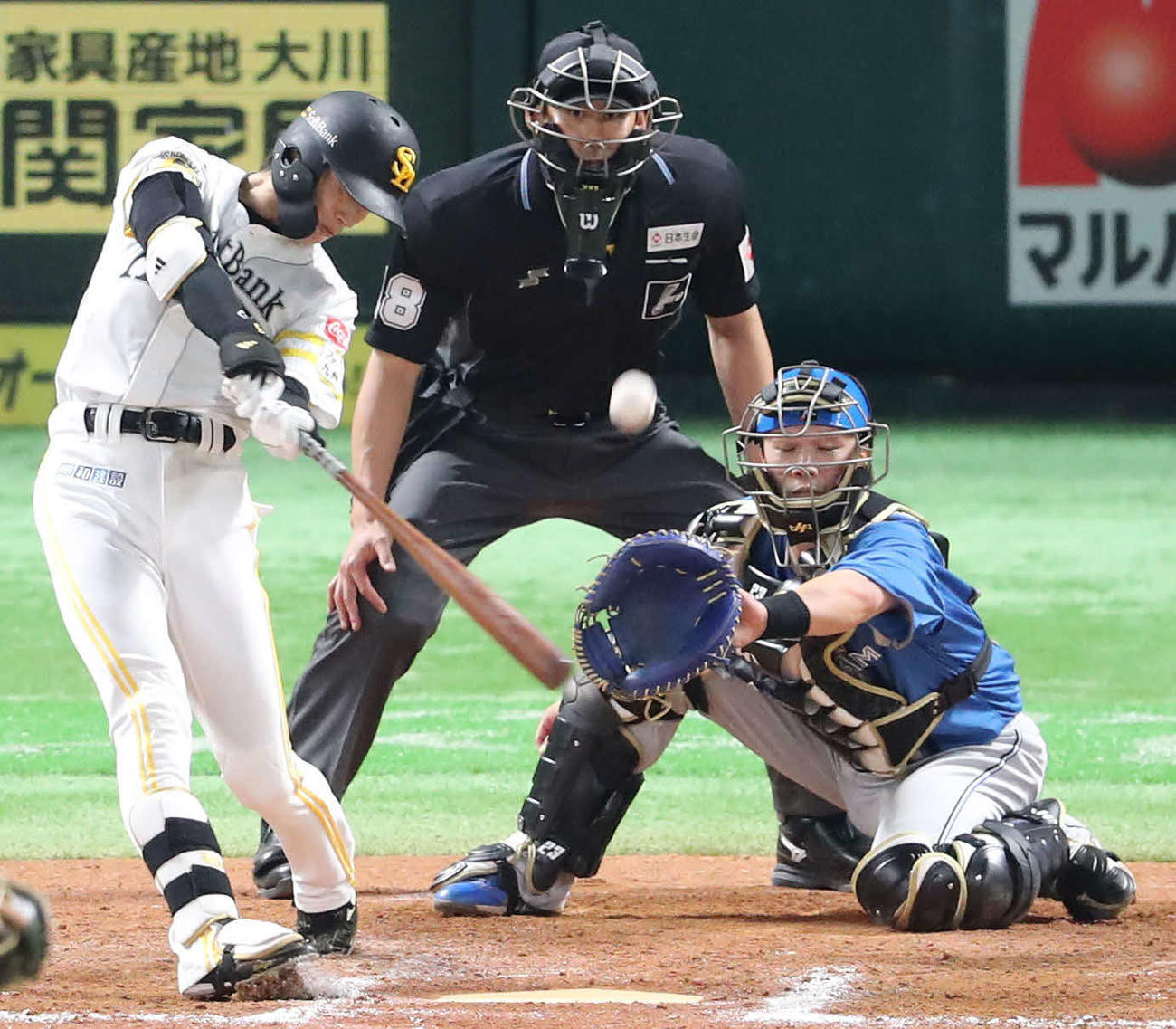 ソフトバンク対日本ハム　延長12回裏ソフトバンク無死満塁、周東はサヨナラとなる左犠飛を放つ（撮影・梅根麻紀）