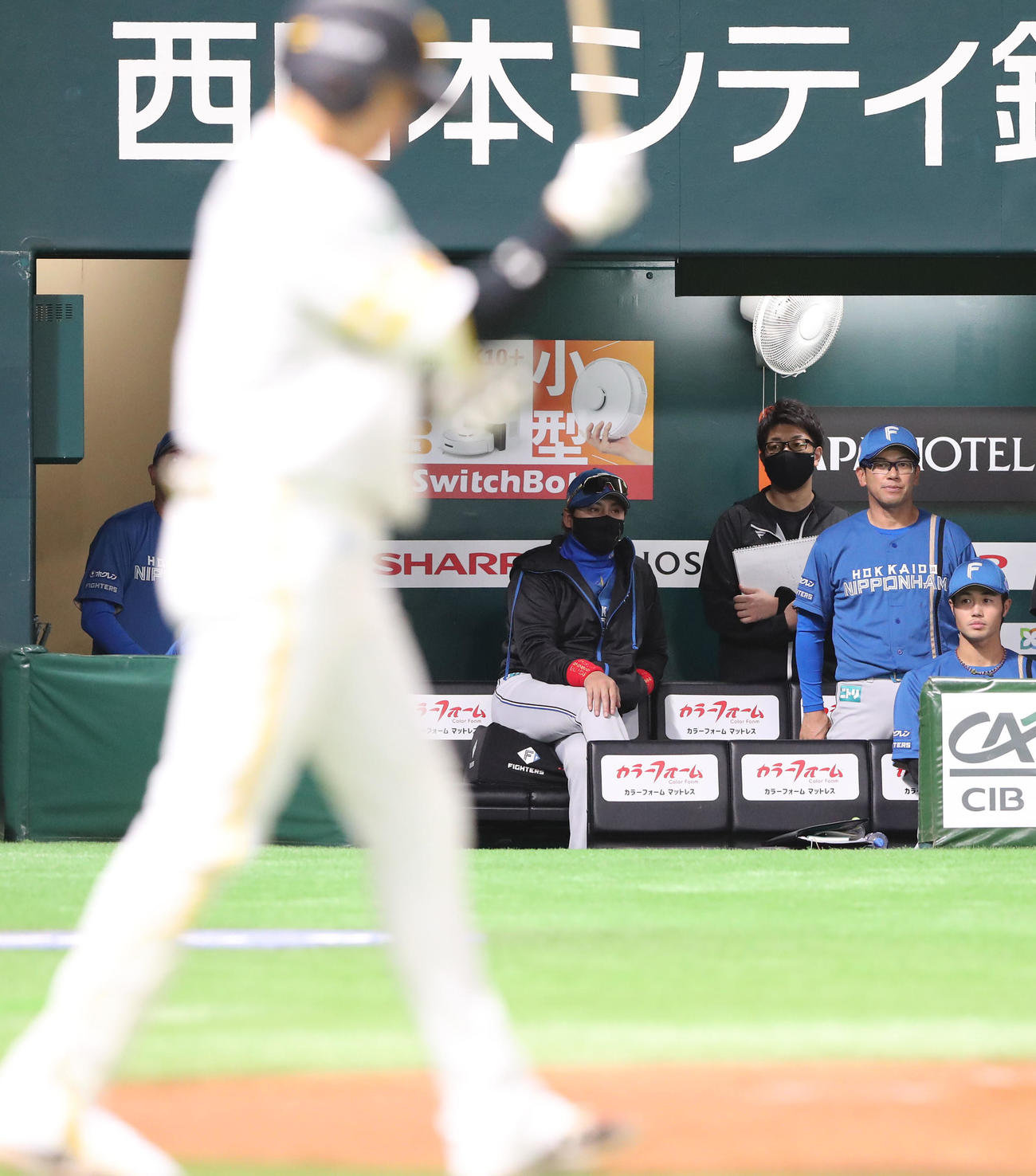 ソフトバンク対日本ハム　ベンチから試合を見つめる新庄監督（撮影・梅根麻紀）