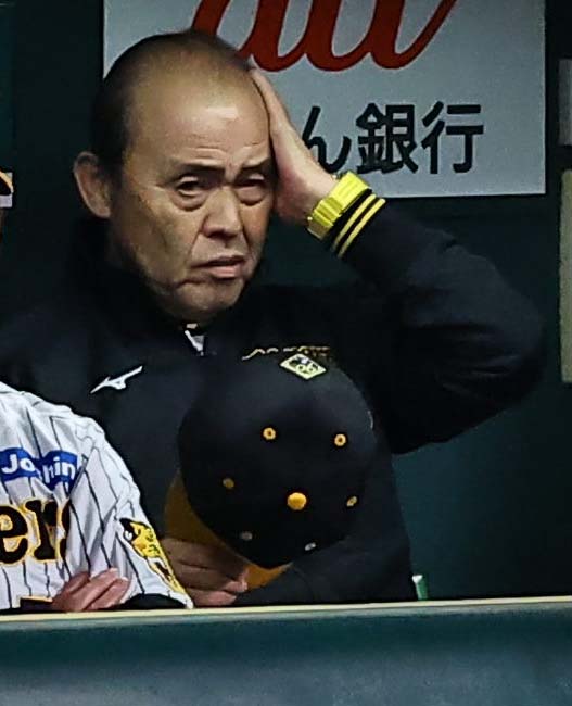 阪神対広島　ベンチで厳しい表情を見せる岡田監督（撮影・上田博志）