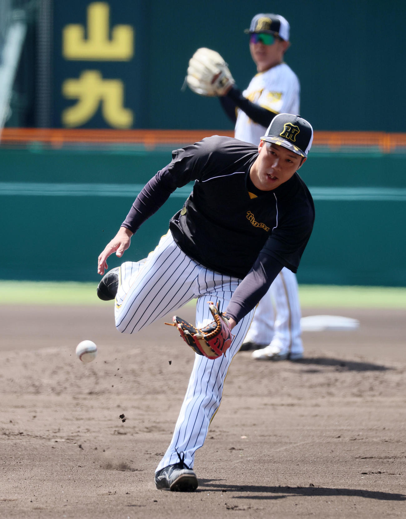 練習でゴロを捕球する青柳（撮影・加藤哉）