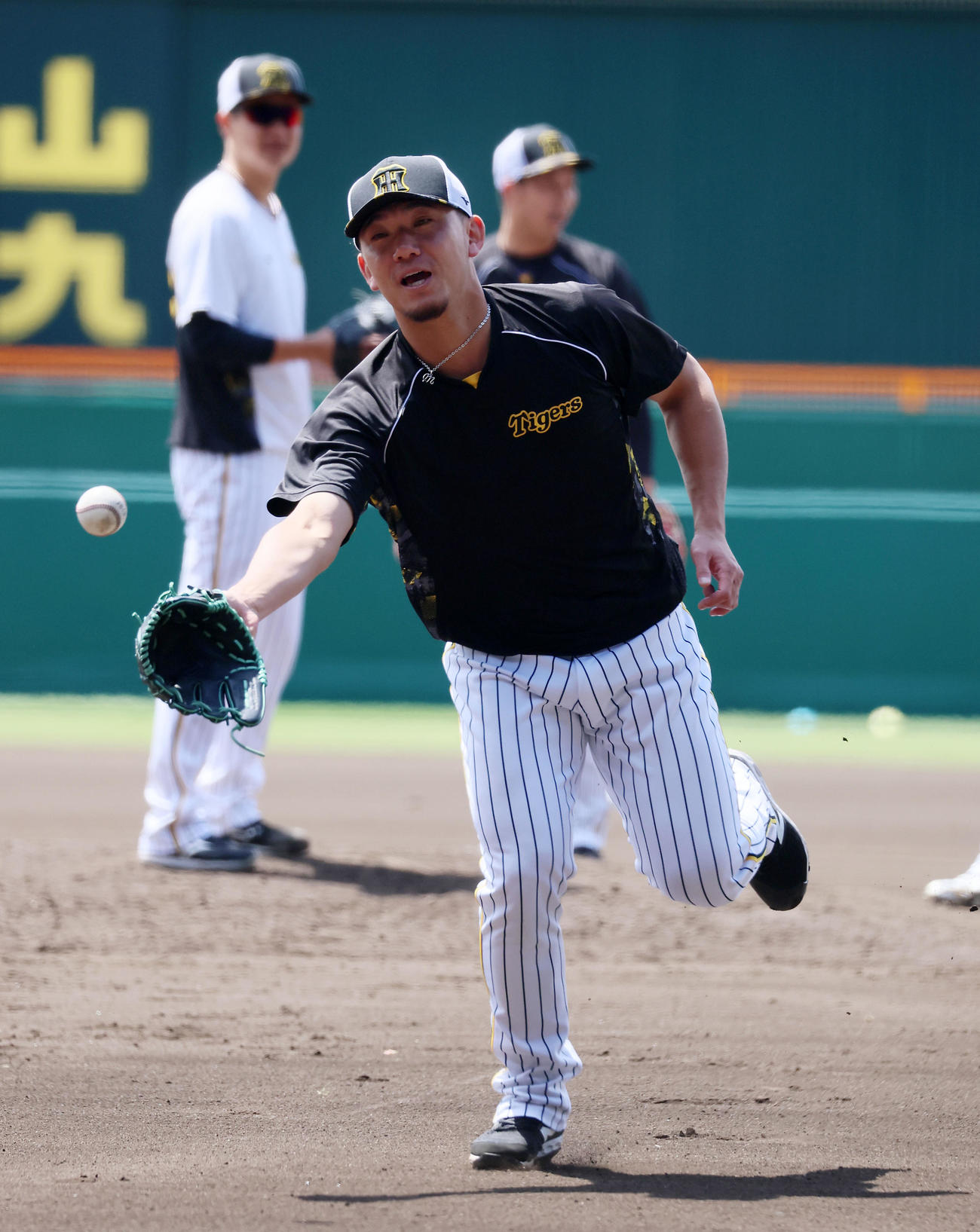 練習でゴロを捕球する伊藤将（撮影・加藤哉）