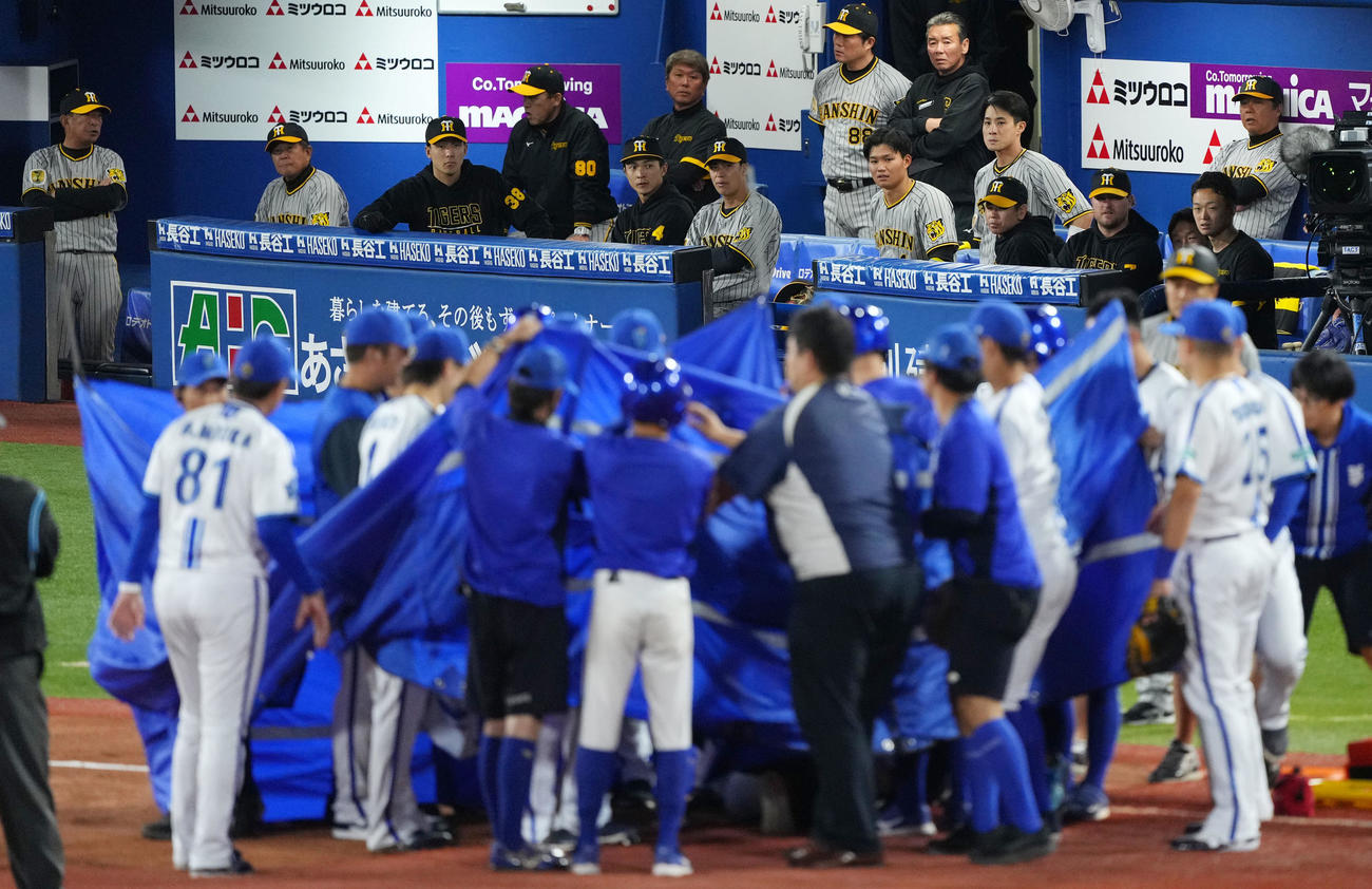 DeNA対阪神　6回表途中、治療をするDeNA宮崎を心配そうに見つめる阪神ナイン（撮影・横山健太）