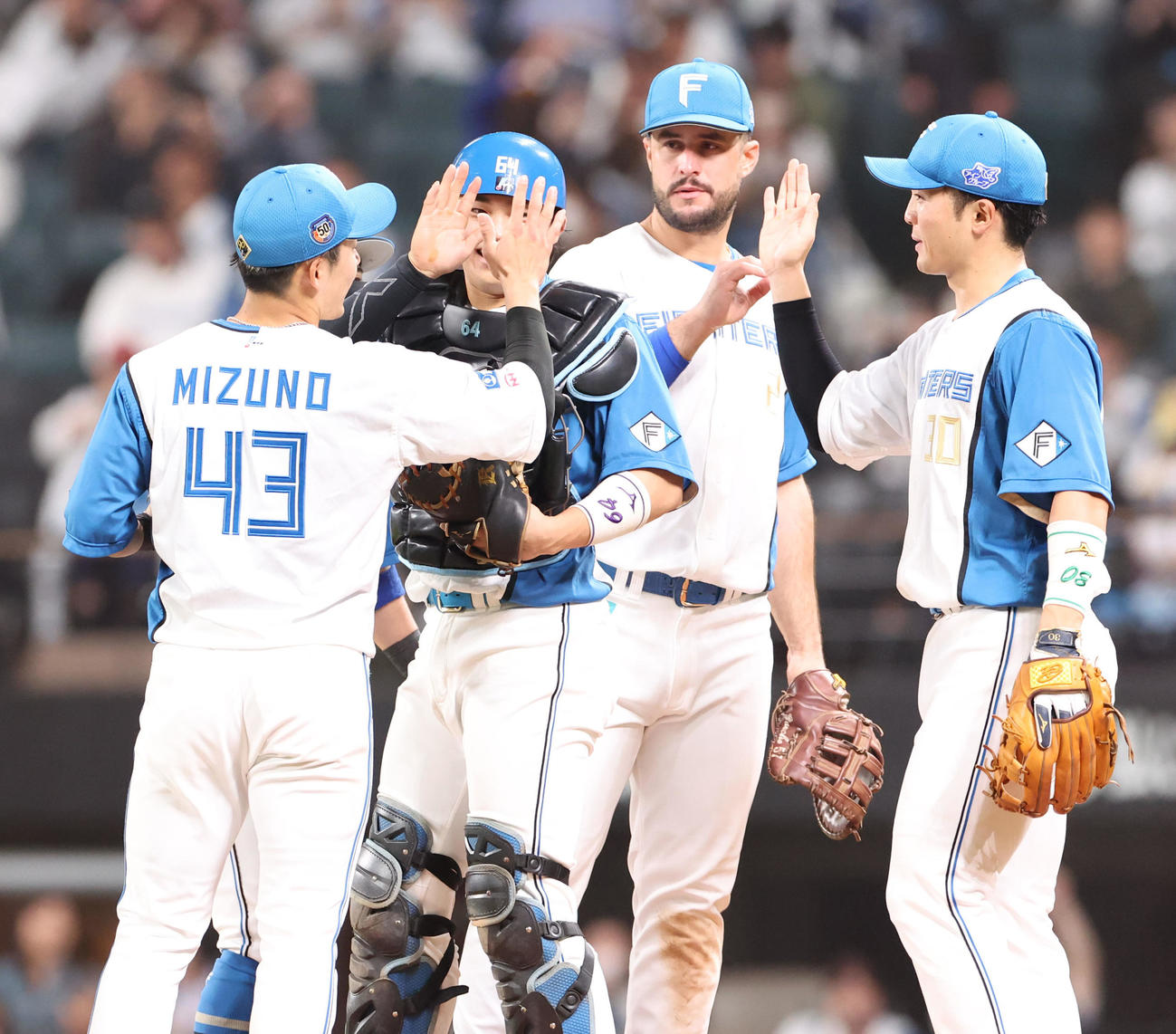 日本ハム対ロッテ　ロッテに勝利し喜び合う日本ハムナイン（撮影・佐藤翔太）