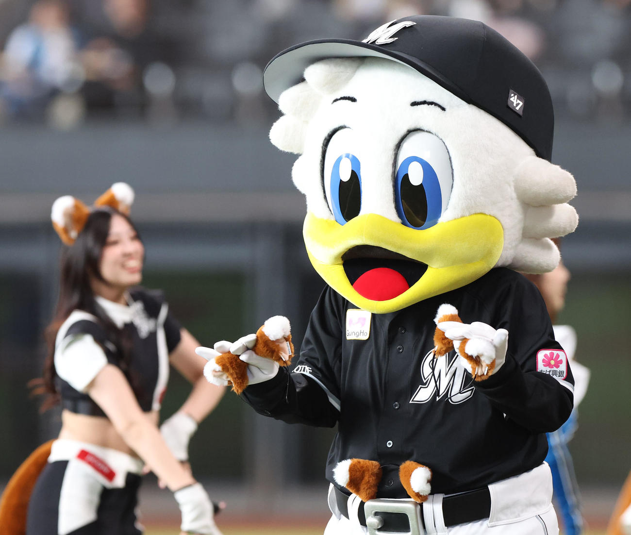 日本ハム対ロッテ　「きつねダンス」を踊るロッテのマスコットキャラクターのマーくん（撮影・佐藤翔太）
