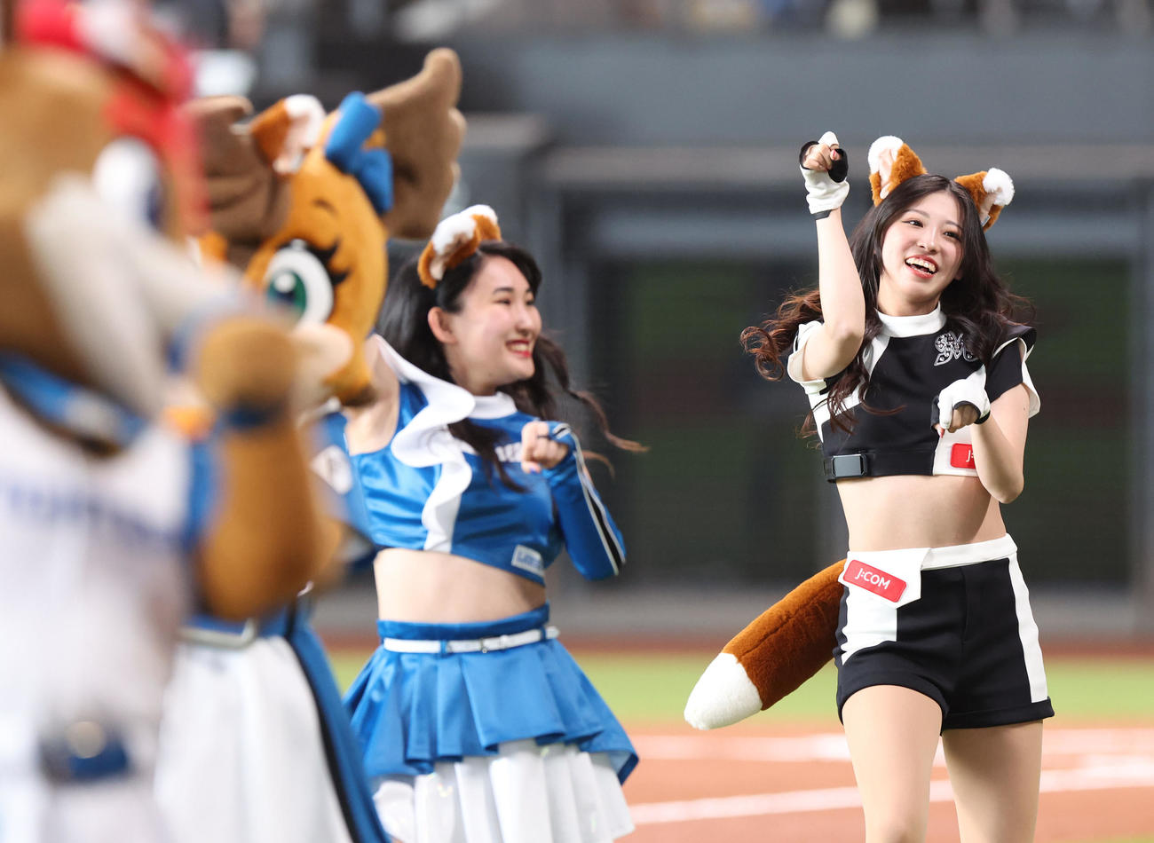 日本ハム対ロッテ　「きつねダンス」を踊るM☆Splash！！とファイターズガール（撮影・佐藤翔太）