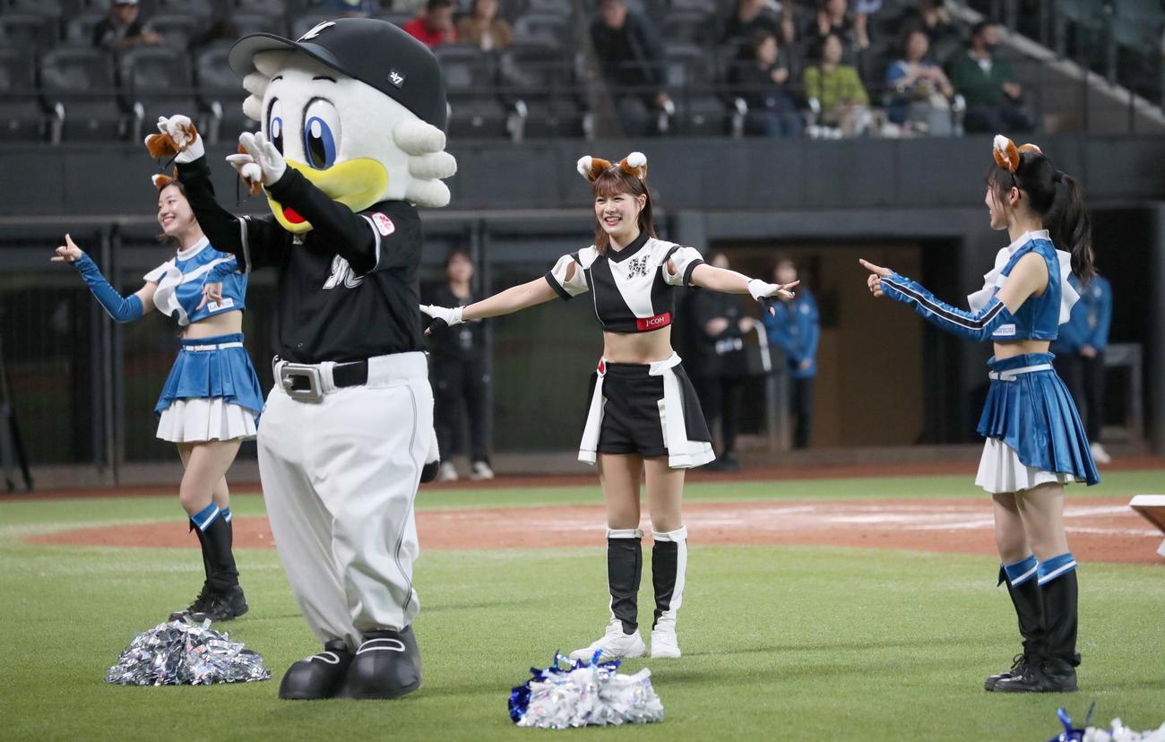 日本ハム対ロッテ　試合後のコラボイベントでファイターズガールと「きつねダンス」を踊るM☆Splash！！（撮影・黒川智章）